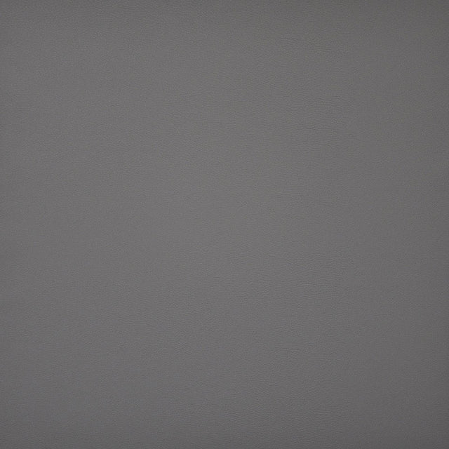 Maxwell PINTO #706 FLINTSTONE Fabric