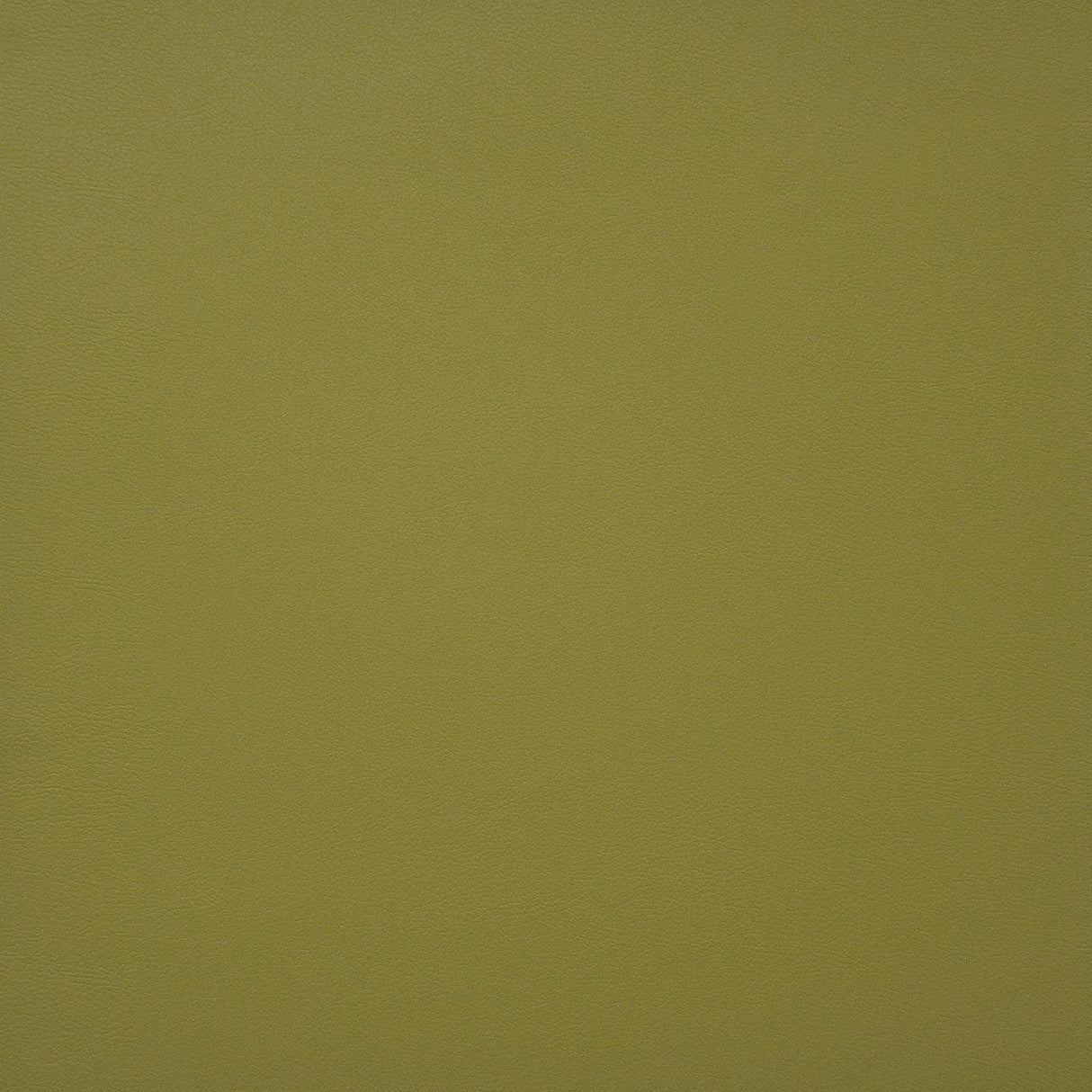 Maxwell PINTO #728 SPRING Fabric