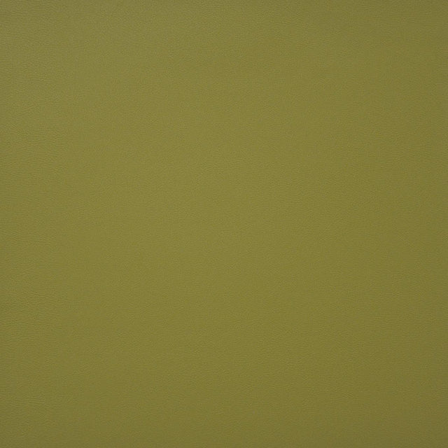 Maxwell PINTO #728 SPRING Fabric