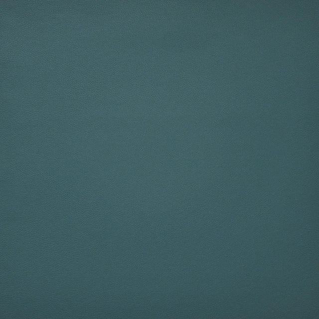 Maxwell PINTO #731 BALTIC Fabric