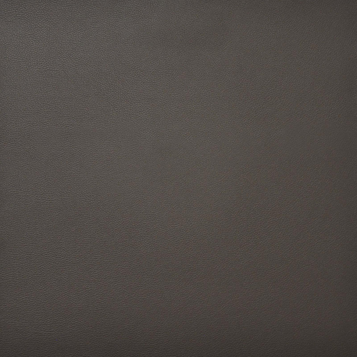 Maxwell PINTO #742 PEAT Fabric