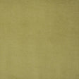 Maxwell SNUG #422 PISTACHIO Fabric