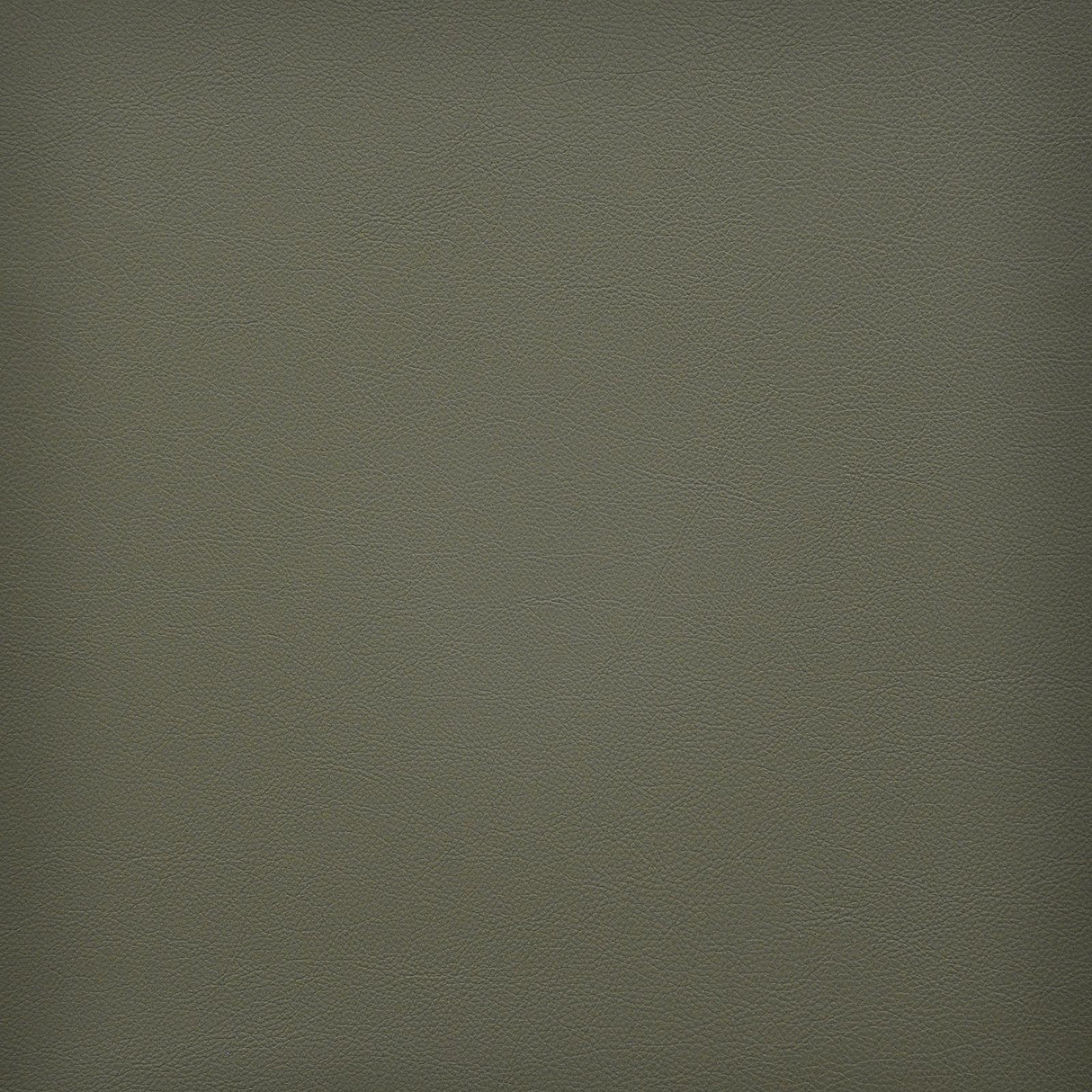 Maxwell VESPER #249 SAGE Fabric