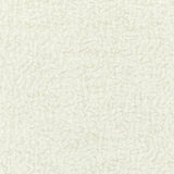 Kravet BARTON CHENILLE CLOUD Fabric