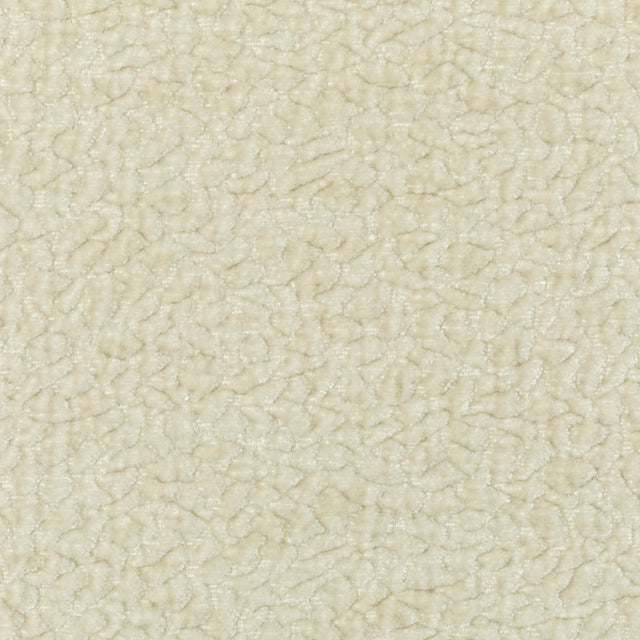 Kravet BARTON CHENILLE LATTE Upholstery Fabric