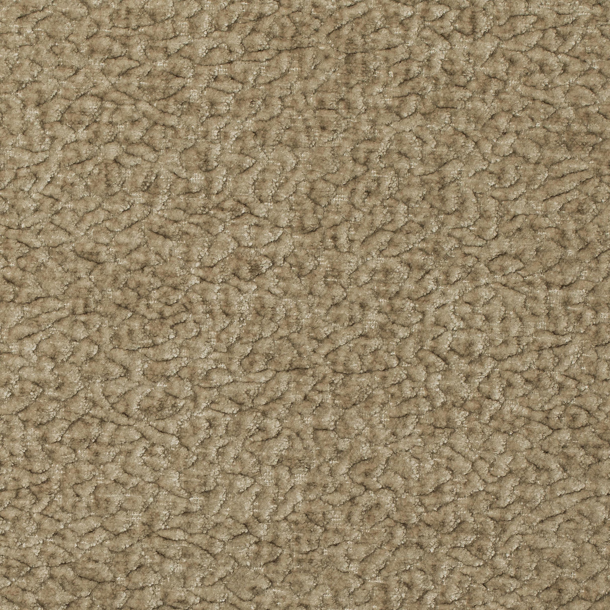 Kravet BARTON CHENILLE OAT Upholstery Fabric
