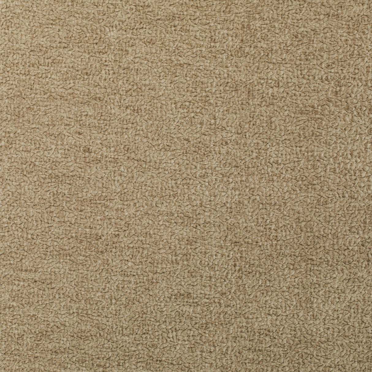 Kravet BARTON CHENILLE OAT Upholstery Fabric