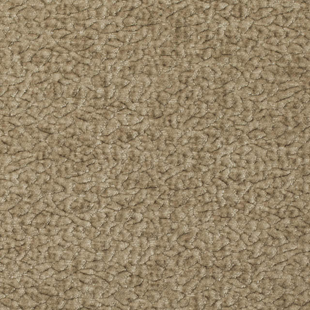 Kravet BARTON CHENILLE OAT Upholstery Fabric
