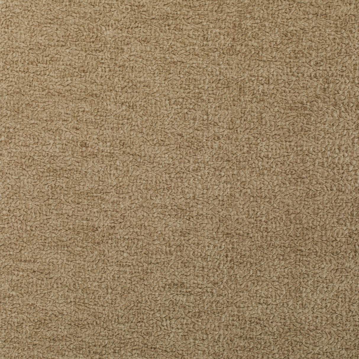 Kravet BARTON CHENILLE CHAMPAGNE Upholstery Fabric