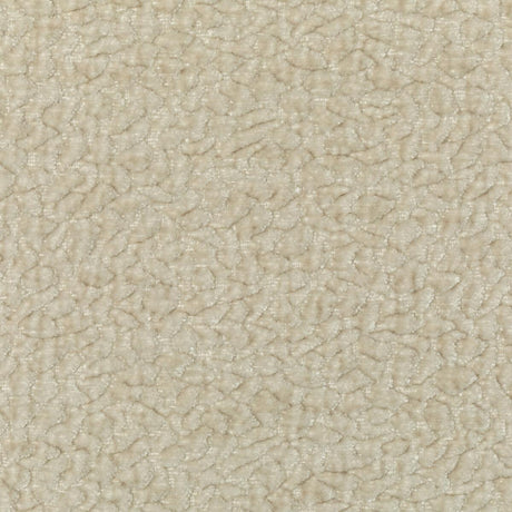 Kravet BARTON CHENILLE SAND Fabric