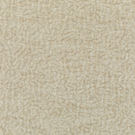 Kravet BARTON CHENILLE SAND Upholstery Fabric