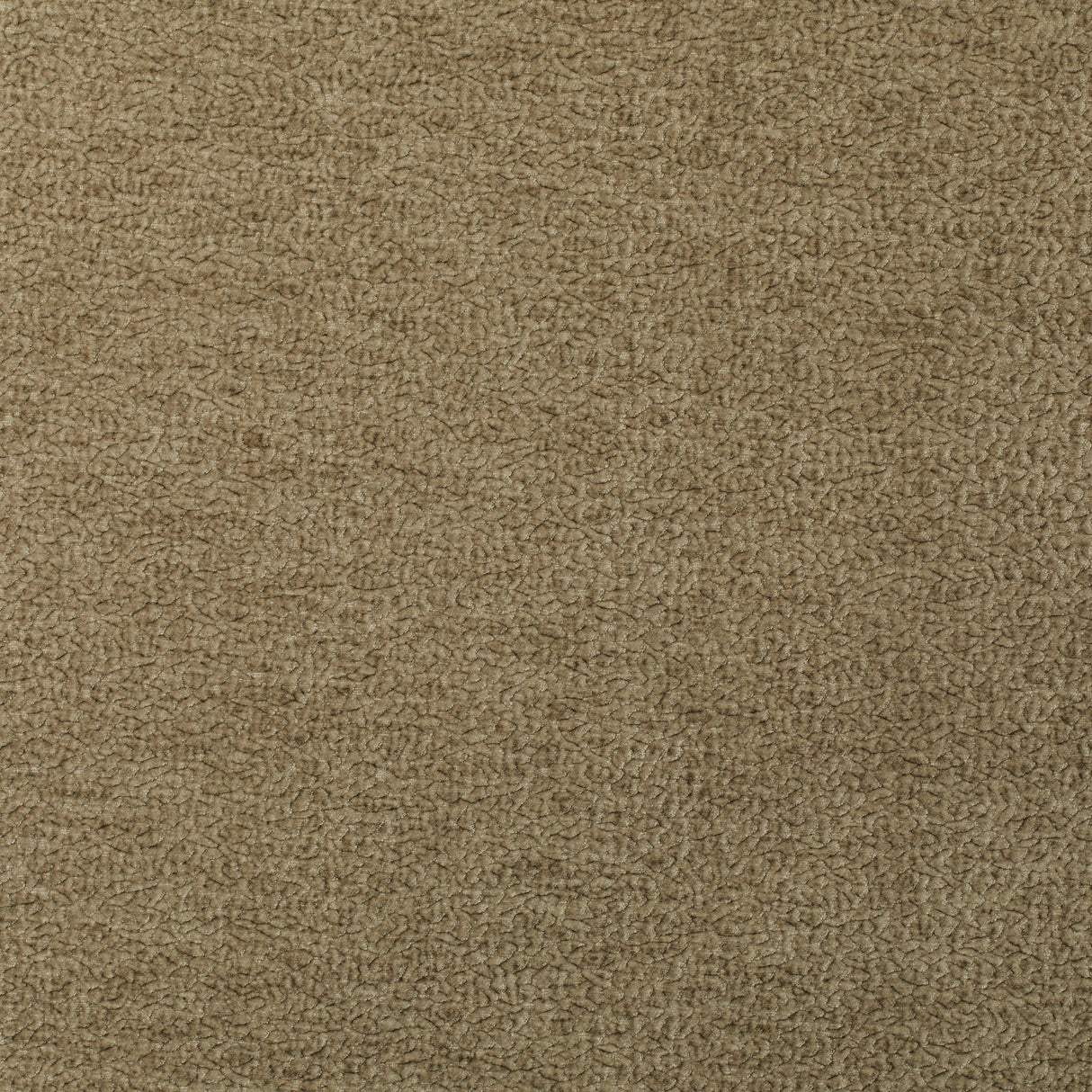 Kravet BARTON CHENILLE FOSSIL Upholstery Fabric