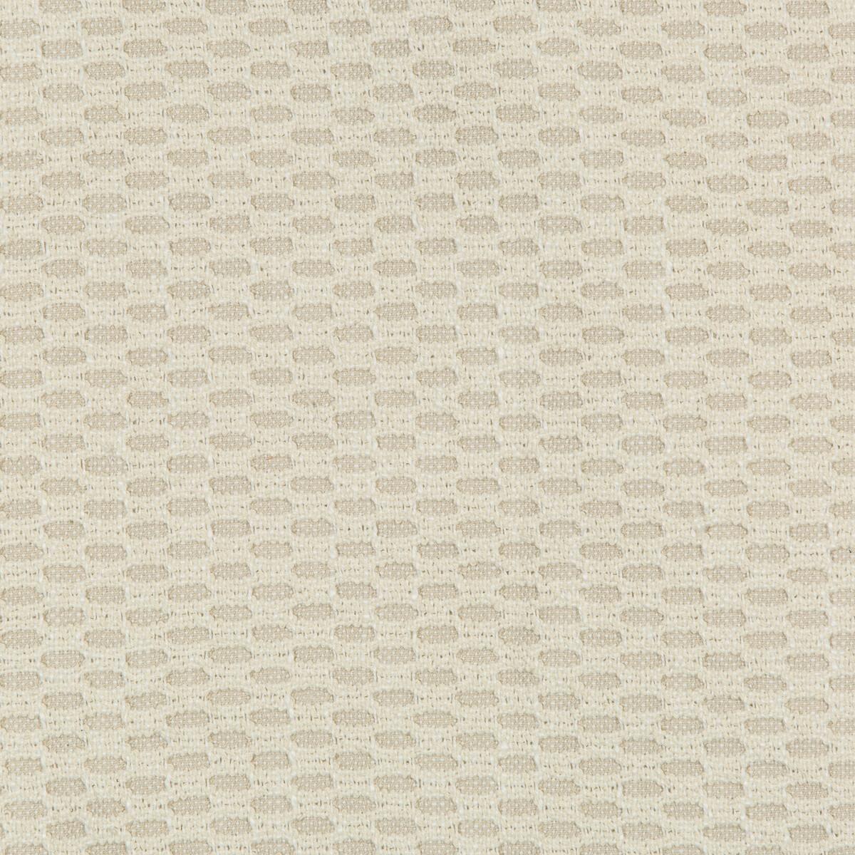 Kravet 36078 161 Fabric