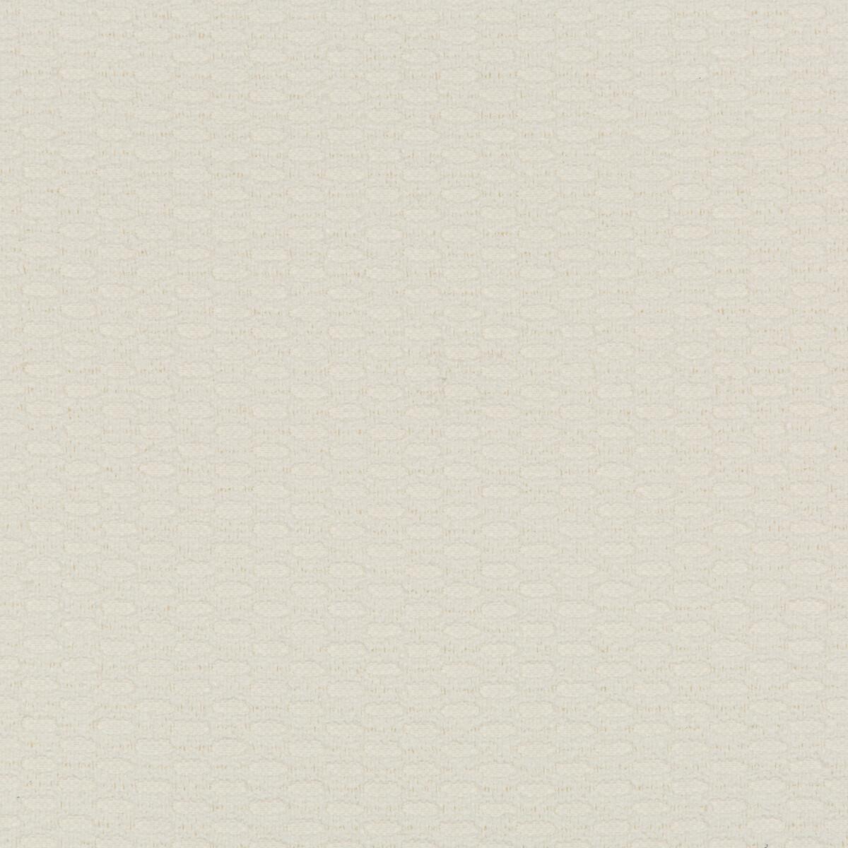 Kravet 36078 1 Fabric