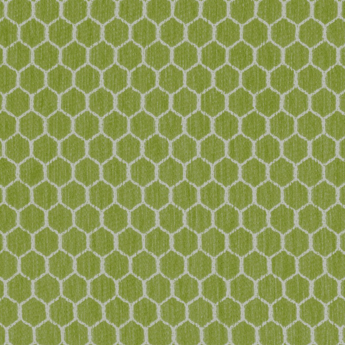 Kravet 36081 23 Fabric
