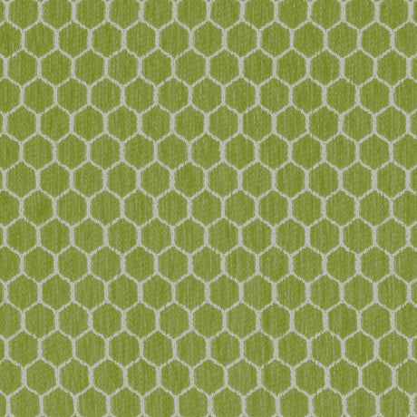 Kravet 36081 23 Fabric