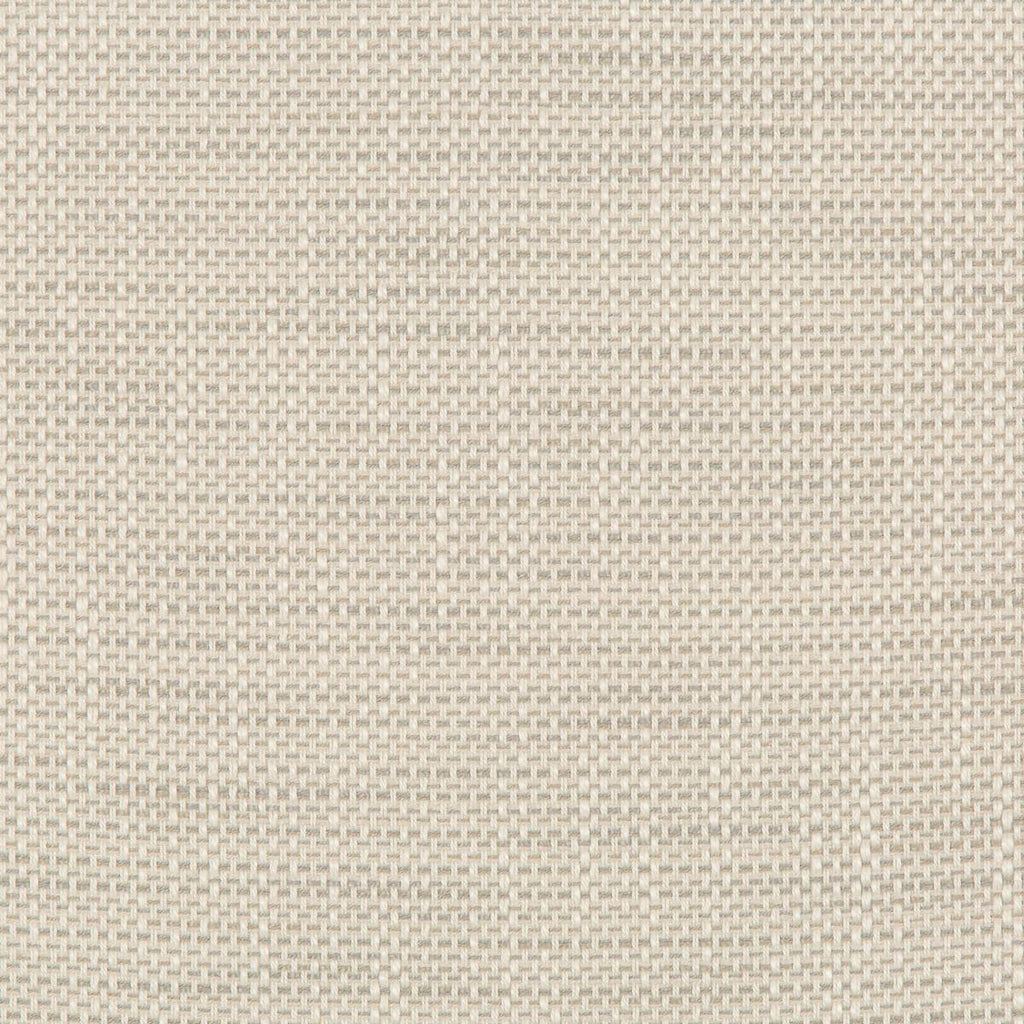 Kravet KRAVET DESIGN 36082-1101 Fabric