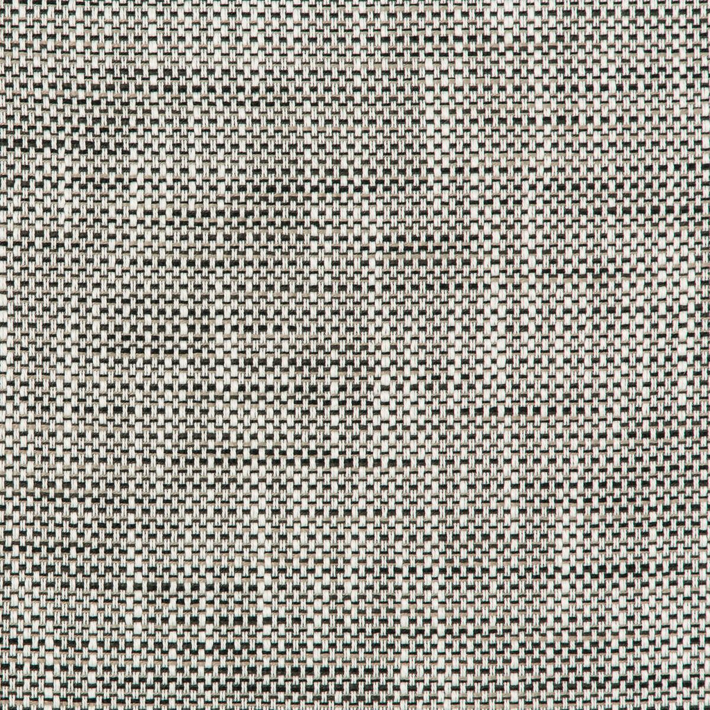 Kravet 36082 81 Fabric
