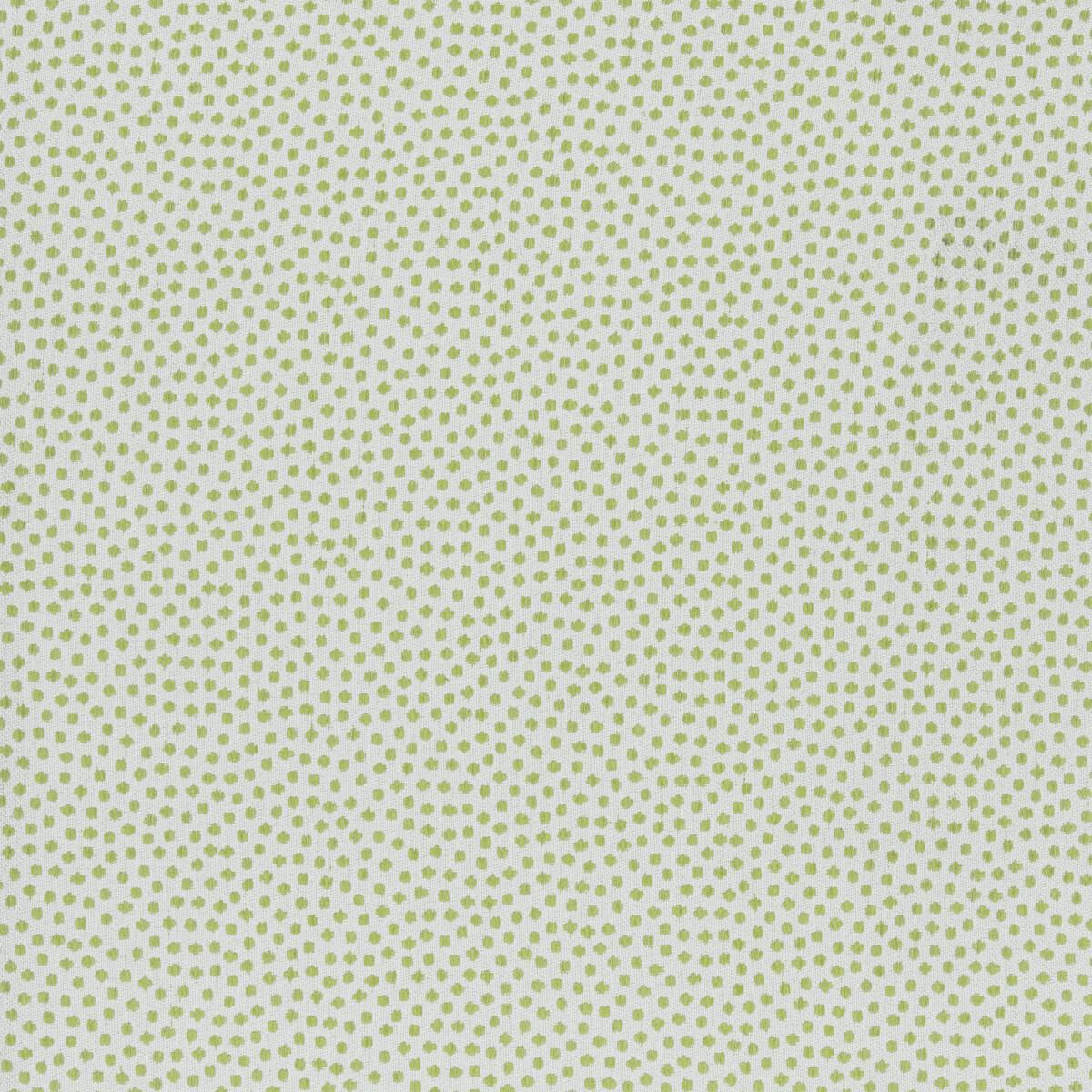 Kravet 36085 31 Fabric