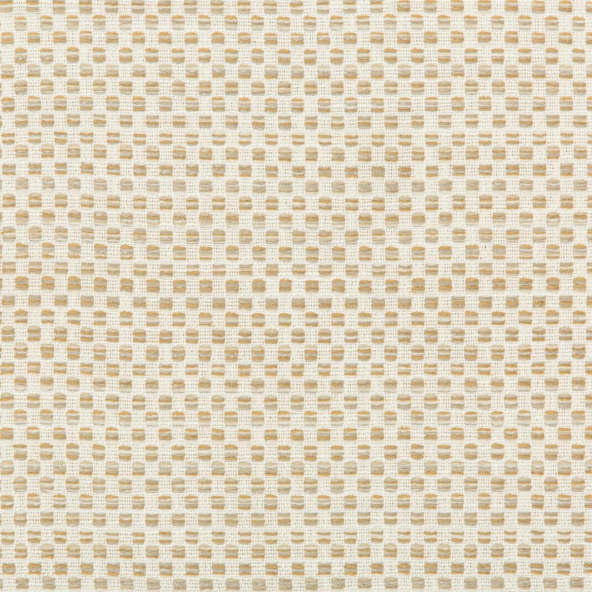 Kravet 36090 16 Fabric