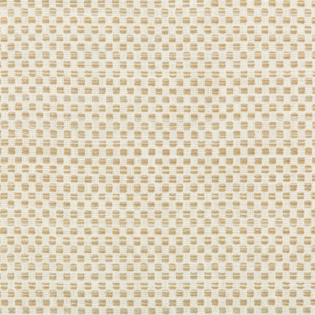 Kravet 36090 16 Fabric