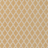 Brunschwig & Fils CANCALE WOVEN CANARY Upholstery Fabric