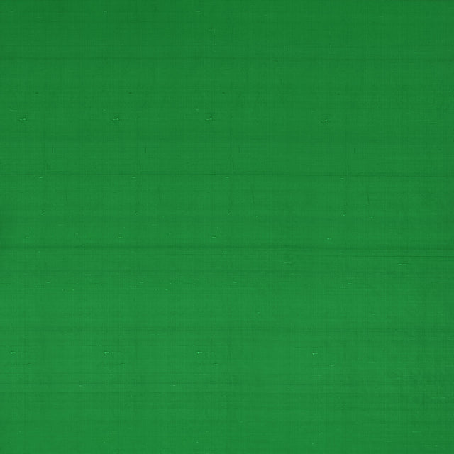 Clarke & Clarke SLYPH FERN Drapery Fabric