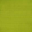 Clarke & Clarke SLYPH LIME Drapery Fabric