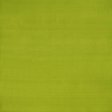 Clarke & Clarke SLYPH LIME Drapery Fabric