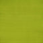 Clarke & Clarke SLYPH LIME Drapery Fabric