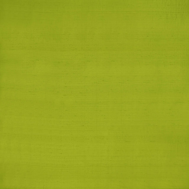Clarke & Clarke SLYPH LIME Drapery Fabric
