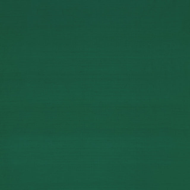 Clarke & Clarke SLYPH MONEY Drapery Fabric