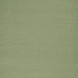 Clarke & Clarke SLYPH PISTACHIO Drapery Fabric