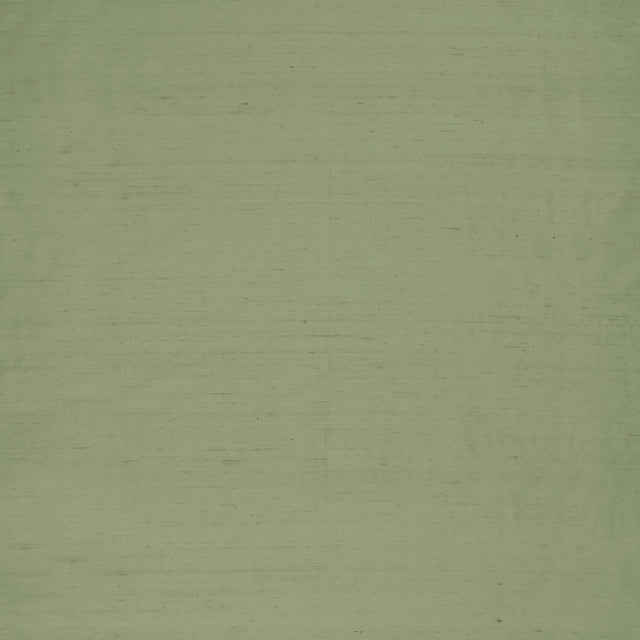 Clarke & Clarke SLYPH PISTACHIO Drapery Fabric