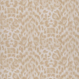Clarke & Clarke FELIS BLUSH Wallpaper