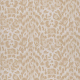 Clarke & Clarke FELIS BLUSH Wallpaper