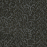 Clarke & Clarke FELIS CHARCOAL/ROSE GOLD Wallpaper