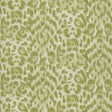 Clarke & Clarke FELIS GREEN Wallpaper