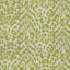 Clarke & Clarke FELIS GREEN Wallpaper