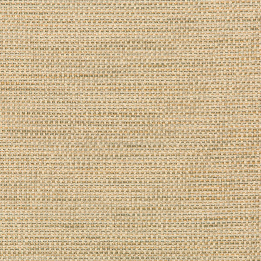 Kravet 36082 106 Fabric