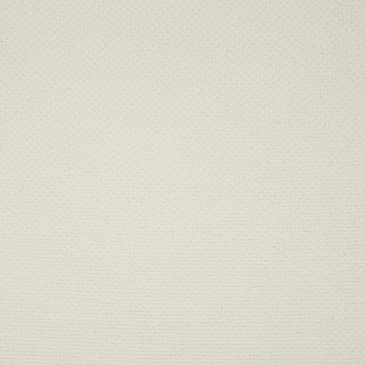 Kravet 36091 101 Fabric