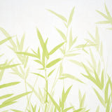 Schumacher Kanji Panel Set Green Wallpaper