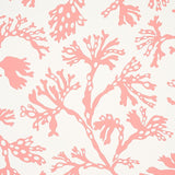 Schumacher Anthoza Coral Wallpaper