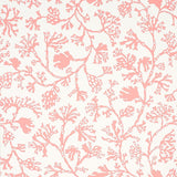 Schumacher Anthoza Coral Wallpaper