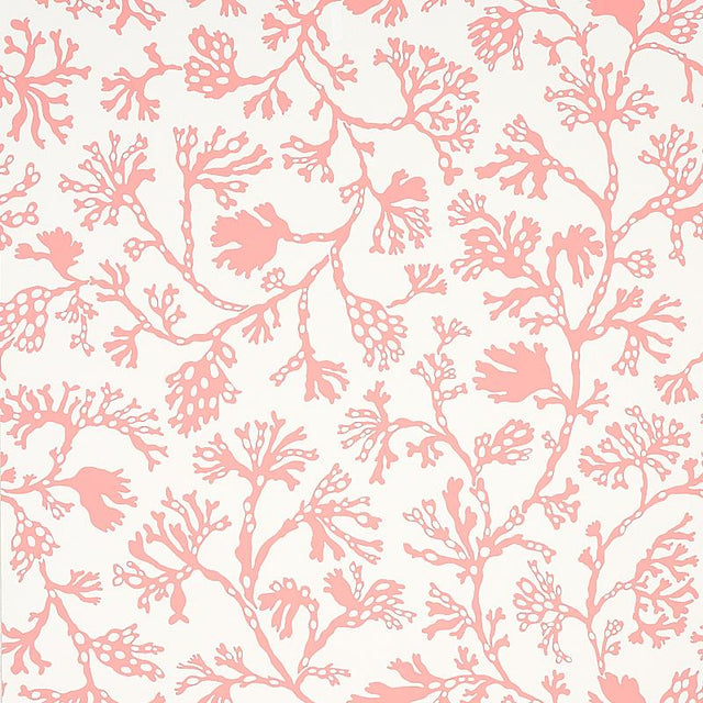 Schumacher Anthoza Coral Wallpaper