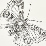 Schumacher Burnell Butterfly Ivory Wallpaper