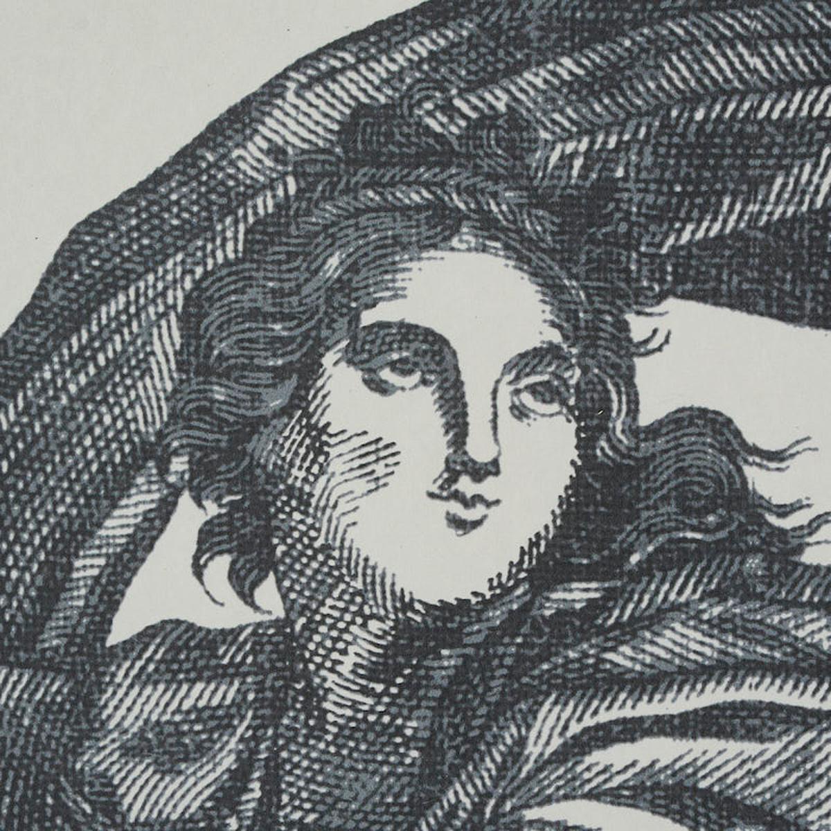 Schumacher Chariot Of Dawn Toile Panel Set Black Wallpaper