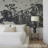 Schumacher Chariot Of Dawn Toile Panel Set Black Wallpaper