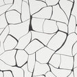 Schumacher Filigree Black Wallpaper