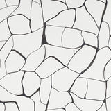 Schumacher Filigree Black Wallpaper